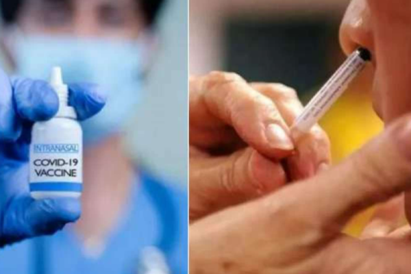 மூக்கு வழியே கொரோனா தடுப்பு மருந்து - மத்திய அரசு ஒப்புதல்! | Govt Of India Approves Nasal Vaccine மூக்கு வழியே கொரோனா தடுப்பு மருந்து - மத்திய அரசு ஒப்புதல்! | Govt Of India Approves Nasal Vaccine