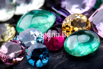 බලපත් නැතිව මැණික් ගැරූ පුද්ගලක් අත්අඩංගුවට.