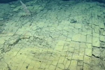 ஆழ்கடலில் சாலை - ஆராய்ச்சியாளர்கள் கண்டுபிடிப்பு - வைரலாகும் புகைப்படம்