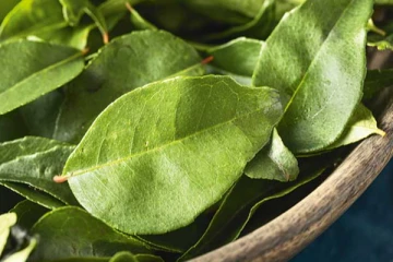 சர்க்கரை வியாதியை ஓட விட்டு அடிக்கனுமா? தினமும் இதை போட்டு வெறும் வாயில் மென்று சாப்பிடுங்கள்....!