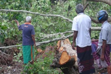 තැපැල් ස්ථානාධිපතිවරයා නොසිතූ ලෙස ජීවිතක්ෂයට