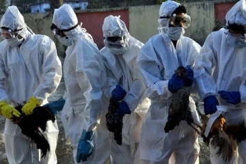 பிரித்தானியாவில் மிகப் பெரும் நோய் பரவல்: விடுக்கப்பட்டுள்ள எச்சரிக்கை