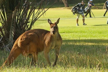 ஆஸ்திரேலியாவில் 86 ஆண்டுகளுக்கு பின்னர் இடம்பெற்ற அதிர்ச்சி சம்பவம்!