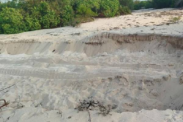 யாழில் பல காலமாக தொடரும் மண் கொள்ளை ; மக்கள் கடும் விசனம் | Land Grabbing Continues In Jaffna People Upset