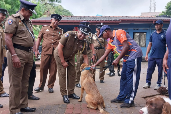 மோப்ப நாய்களின் உதவியுடன் பாடசாலைகளில் போதைப்பொருள் சோதனை | Drug Testing In Schools With The Help Sniffer Dogs மோப்ப நாய்களின் உதவியுடன் பாடசாலைகளில் போதைப்பொருள் சோதனை | Drug Testing In Schools With The Help Sniffer Dogs