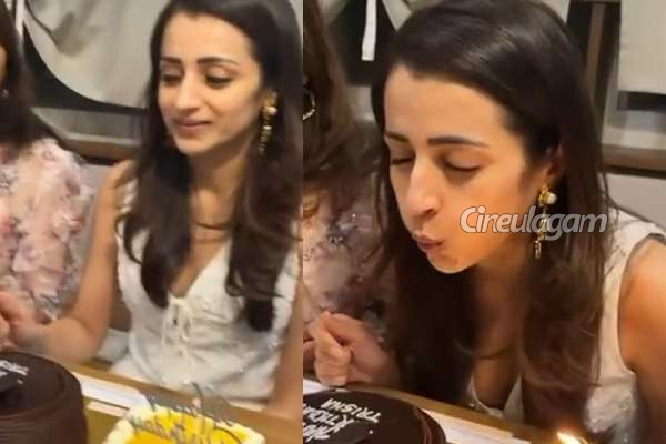 திரிஷா பிறந்தநாளை எப்படி கொண்டாடி இருக்கிறார் பாருங்க | Trisha 42 Birthday Celebration Stills