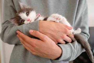 பிரித்தானியாவில் செல்லப்பிராணிகள் மூலம் பரவும் தீவிர நோய்! விடுக்கப்பட்டுள்ள எச்சரிக்கை