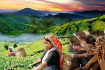 நாளை மலையகம் முடங்கும்! மலையக ஆசிரிய தொழிற்சங்கங்களும் பூரண ஆதரவை வெளிட்டுள்ளனர்