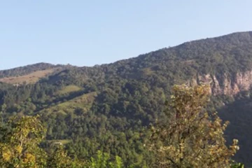 ශ්‍රී ලංකාවේ ගලකින් යෝධ රයිනෝසිරයෙක් මතු වෙයි...