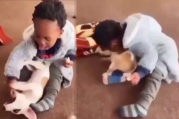 தன்னைக் கடித்த நாய்க்கு சிறுவன் கொடுத்த தண்டனை! வைரல் காணொளி இதோ