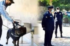 மோப்ப நாய்களின் உதவியுடன் கொரோனாவை கண்டுபிடிக்கும் பணி; எந்த நாட்டில் தெரியுமா?