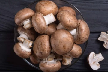 சர்க்கரை நோய்,இதய நோய்களை கட்டுப்படுத்த உதவும் காளான்..!