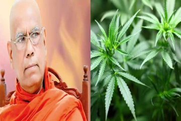 கஞ்சா பயிரிட அனுமதி நாட்டை நாசமாக்கும் செயல் -சோபித தேரர் கொதிப்பு