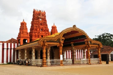 இலங்கையில் இந்து பாரம்பரியம் அழிக்கப்படுகின்றது - தமிழ் டயஸ்போரா அமைப்பு