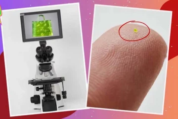 52 லட்ச ரூபாய்! உப்பை விட சின்ன ஹேன்ட் பேக் - கண்ணுக்கே தெரியாதுங்க