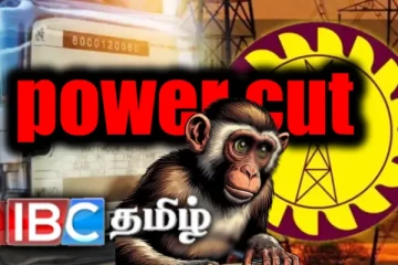 இலங்கையை முடக்கிய குரங்கு - மின்வெட்டுக்கு ஆருடம் கூறும் அமைச்சர்: அதிர்ச்சியில் மக்கள்