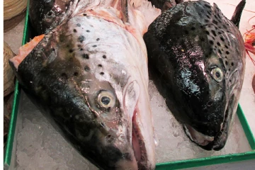 இதய நோயாளிகள் மீன் தலை சாப்பிட்டால் என்ன நடக்கும்  தெரியுமா?... இனி தெரிஞ்சிட்டு சாப்பிடுங்க!