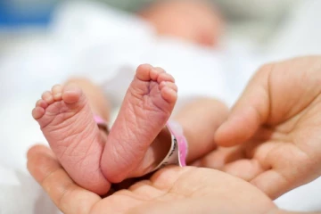 யாழில் எறும்புக்கடியால் பலியான பச்சிளம் சிசு ; விசாரணையில் வெளியான அதிர்ச்சி தகவல்