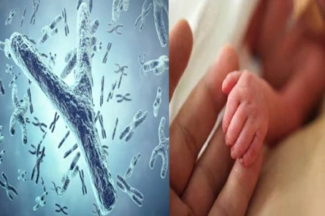 மெல்ல குறைந்து வரும் Y குரோமோசோம்கள் - அப்போ ஆண் குழந்தைகளே பிறக்காதா?