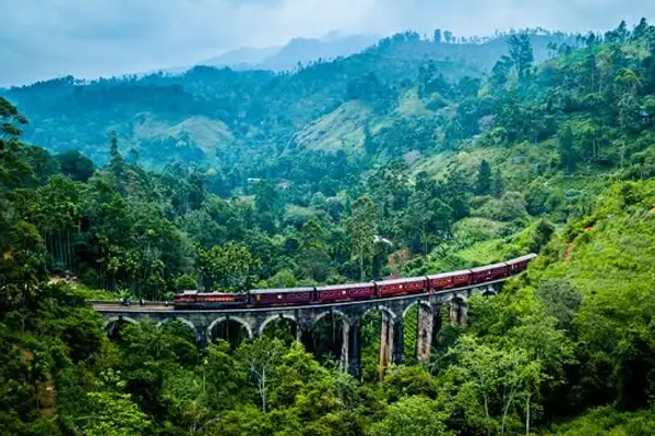 இலங்கைக்கு வருகை தரும் சுற்றுலாப் பயணிகளுக்கு விடுக்கப்பட்ட வேண்டுகோள் | An Appeal To Tourists Visiting Sri Lanka