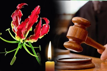 மாவீரர் நினைவேந்தலுக்கு மன்னார் நீதிமன்றம் வழங்கியுள்ள சாதகமான தீர்ப்பு