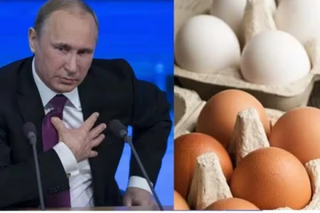 முட்டை கூட வாங்கமுடியல; முகத்திற்கு முன்னாடியே விளாசிய முதியவர் - மன்னிப்பு கேட்ட புதின்!