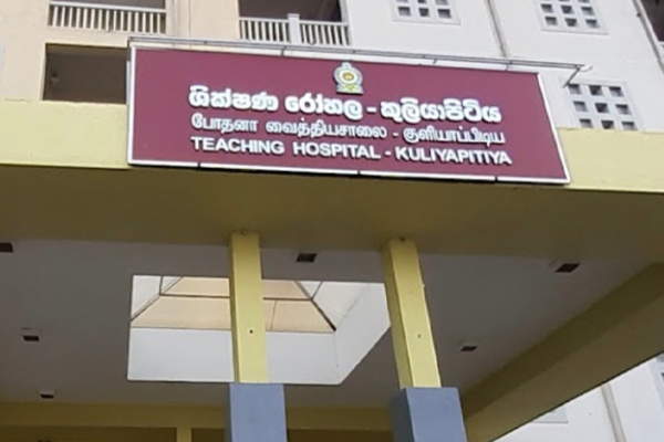 மறுசீரமைப்பு பணியில் ஈடுபட்ட மின்சார சபை ஊழியர் பலி! | Electricity Board Employee Died மறுசீரமைப்பு பணியில் ஈடுபட்ட மின்சார சபை ஊழியர் பலி! | Electricity Board Employee Died