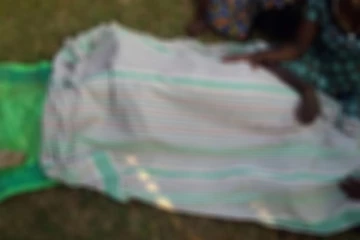 யானை தாக்கி வயோதிபர் உயிரிழப்பு