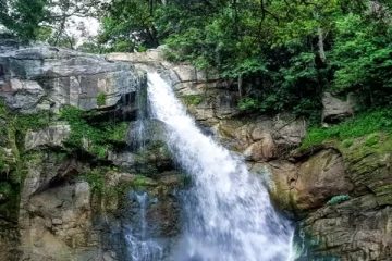 நீரில் மூழ்கி ஒரே குடும்பத்தைச் சேர்ந்த மூவர் மரணம்!  பரிசோதனையில் வெளியான தகவல்