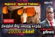 நிலத்தின் கீழே மறைந்து வாழ்ந்த 20,000 மக்கள் - நேரடி வீடியோ