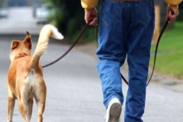 வளர்ப்பு நாயைத் தாக்கிய கடை உரிமையாளருக்கு பொலிஸ் உத்தியோகத்தரால் நேர்ந்த சோகம்