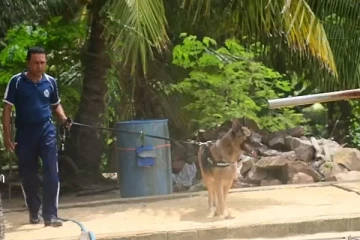 இரும்புத் தடியால் தாக்கப்பட்டு நபர் கொலை