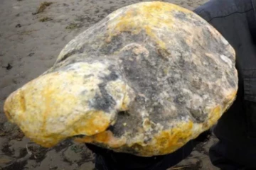 5 கோடி ரூபா பெறுமதியான திமிங்கில வாந்தியுடன் கைதான நபர்