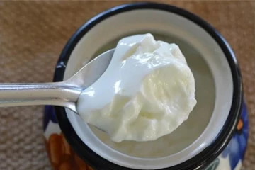 ஆரோக்கியத்தை அள்ளித்தரும் தயிர்! யாரெல்லாம் சாப்பிடக்கூடாது தெரியுமா?