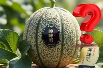 16 லட்சத்திற்கு ஒரு பழமா? அப்படி என்ன இருக்கு இந்த பழத்தில்?