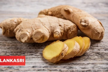 இஞ்சியை யாரெல்லாம் அதிகம் எடுத்து கொள்ள கூடாது தெரியுமா?