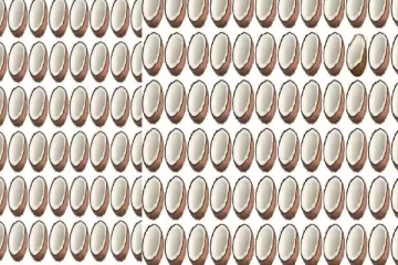 optical illusion: உங்கள் கண்பார்வை கூர்மையானதா? வித்தியாசமான தேங்காயை ஐந்து நொடிக்குள் கண்டுபிடியுங்கள்
