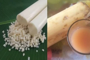 வாழைத்தண்டு சாப்பிடுவதால் நடக்கும் அற்புதங்கள்