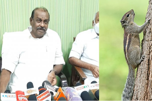 மின் வெட்டுக்கு அணில் தான் காரணம் என்று எனக்கு தெரியவில்லை! நத்தம் விஸ்வநாதன் பேச்சு.. | Viswanathan Exminister