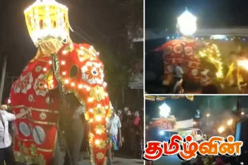 பெரஹராவின் போது குழப்பமடைந்த யானை! பதறியடித்து ஓடிய மக்கள்