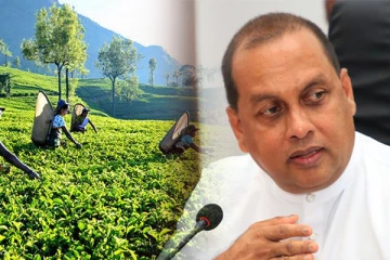 தேயிலைத் தோட்டங்கள் குறித்த அரசாங்கத்தின் அதிரடி உத்தரவு