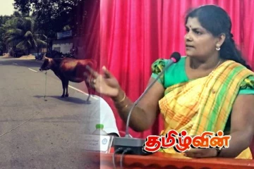 வீதிகளில் திரிகின்ற கட்டாக்காலி கால்நடைகளுக்கு உடனடியாக நடவடிக்கை எடுக்குமாறு கோரிக்கை