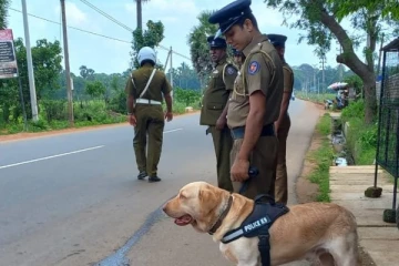 வவுனியாவில் களமிறக்கப்பட்டுள்ள மோப்ப நாய்கள்! (Photos)
