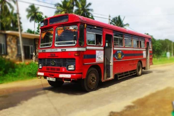 பயணச்சீட்டு வழங்காத நடத்துனர்கள் மூவரின்  சீட்டைகிழித்த இ.போ.ச!