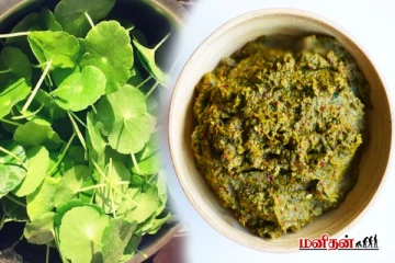 ஞாபக சக்தியை அதிகரிக்கும் வல்லாரை கீரை துவையல் - ஒரு வாட்டி இப்படி செய்ங்க