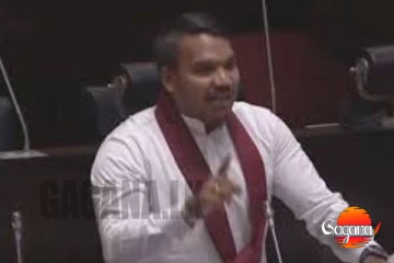 අගමැතිතුමියට නම් උත්තර දෙන්න එපා කියන්න නැත්තම් මේක ලොකු ප්රශ්නයක් වෙනවා, නාමල් ආවේස වෙයි