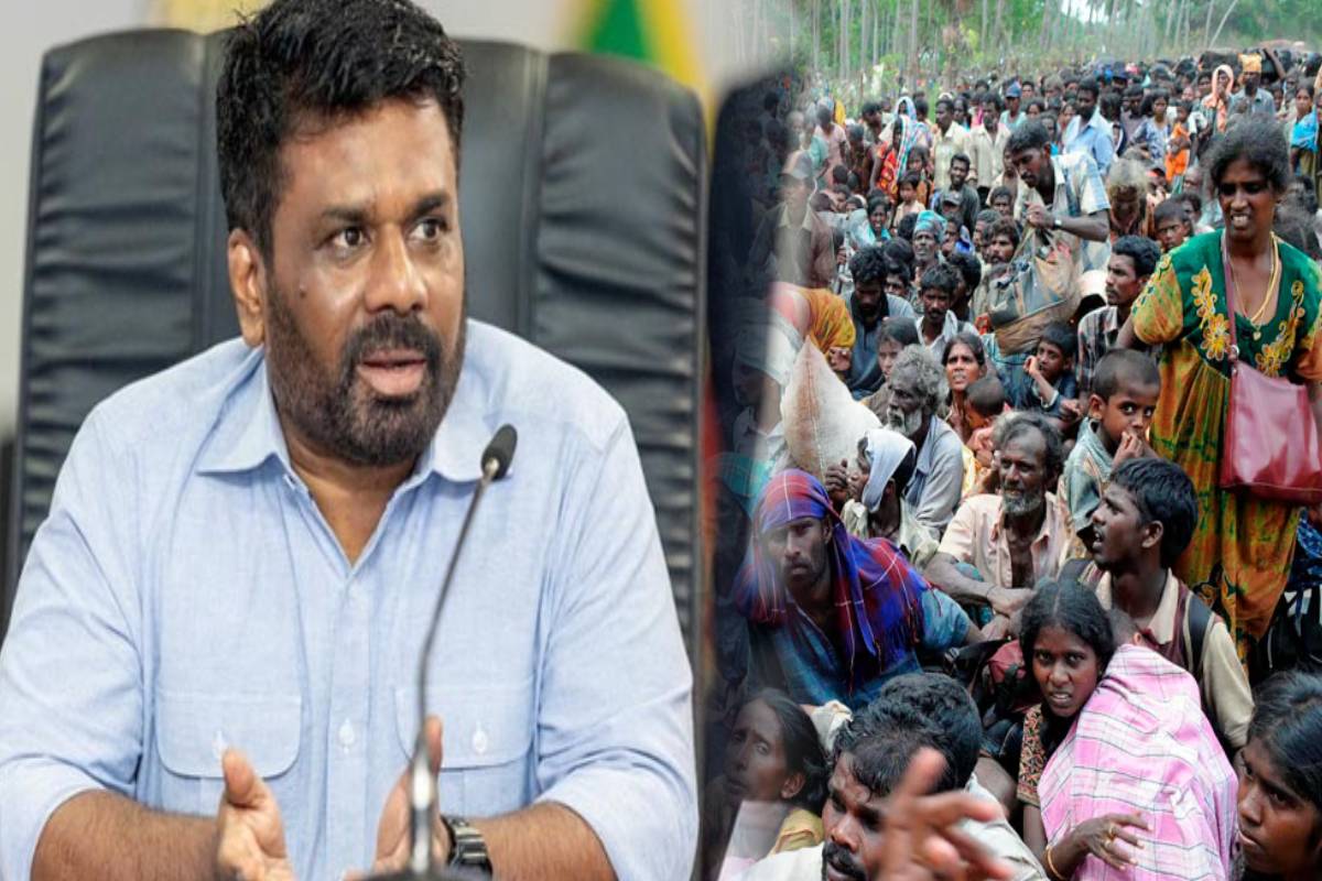 யுத்த காலத்தில் இடம்பெயர்ந்தவர்களுக்கு விரைவில் புதிய திட்டம் - ஜனாதிபதி உத்தரவு | New Program Soon Those Displaced During The War யுத்த காலத்தில் இடம்பெயர்ந்தவர்களுக்கு விரைவில் புதிய திட்டம் - ஜனாதிபதி உத்தரவு | New Program Soon Those Displaced During The War