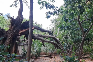 யாழ்ப்பாணத்தில் மயிரிழையில் தப்பிய ஆட்டோ சாரதி