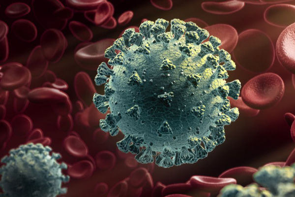 அமெரிக்காவில் வேகமாகப் பரவும் கொரோனா வைரஸ் | Fast Spreading Coronavirus In The Usa