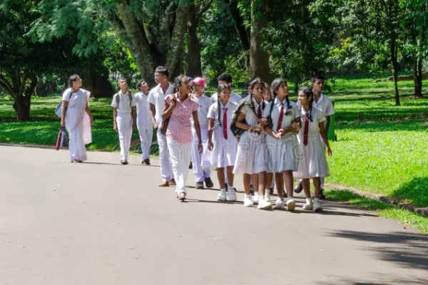 பாடசாலைகளை திறப்பது தொடர்பில் அறிவிப்பு | Announcement Regarding The Opening Of Schools